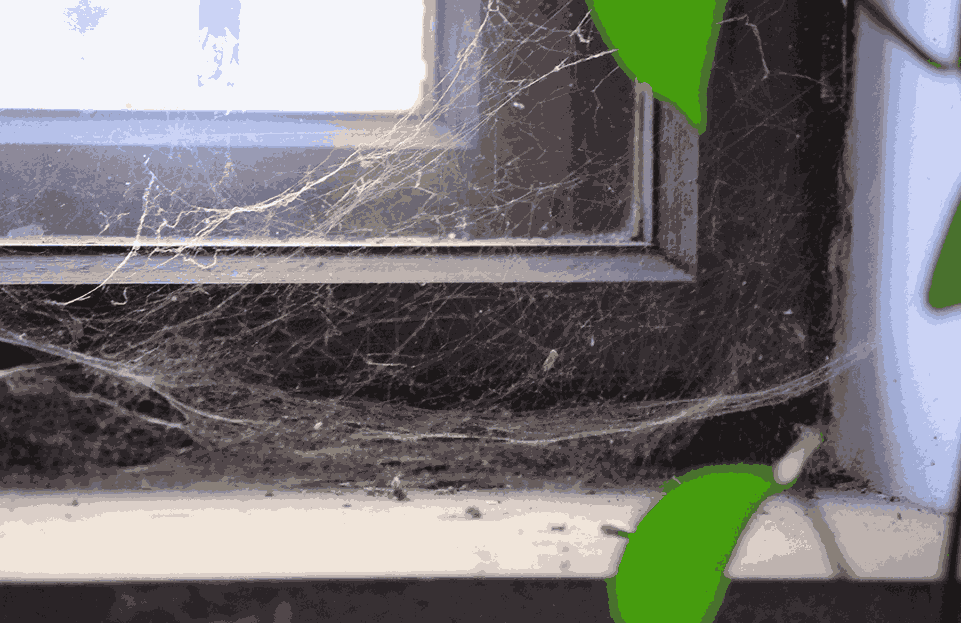 Cobwebs on a window frame and corner before cleaning.