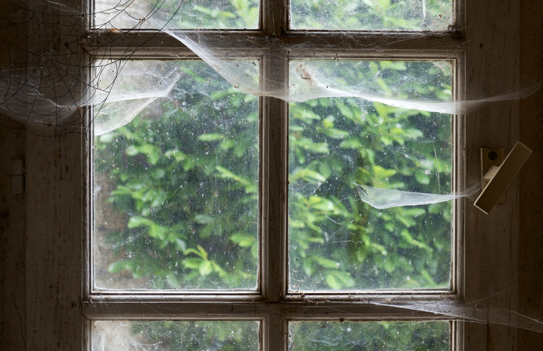 Tips to remove cobwebs and dust 