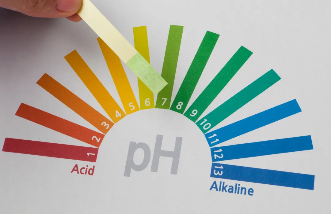 Ph Scale 