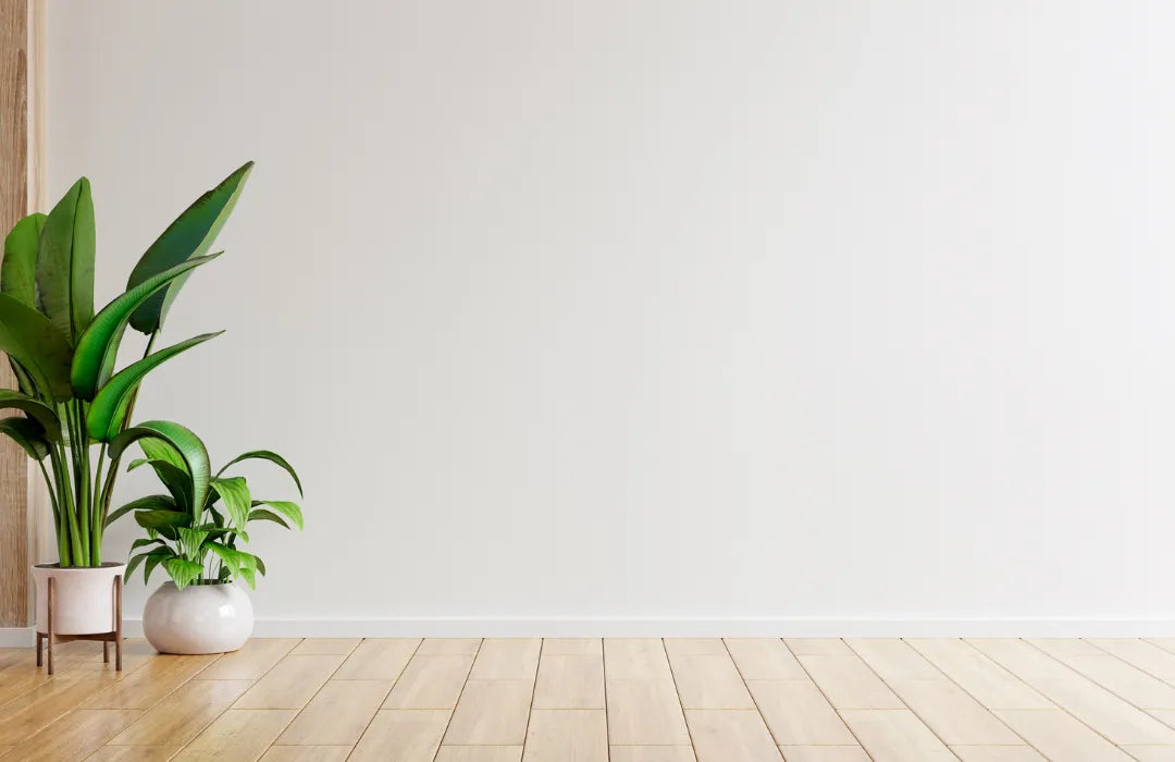 How to Clean Walls the Right Way | Speed Cleaning