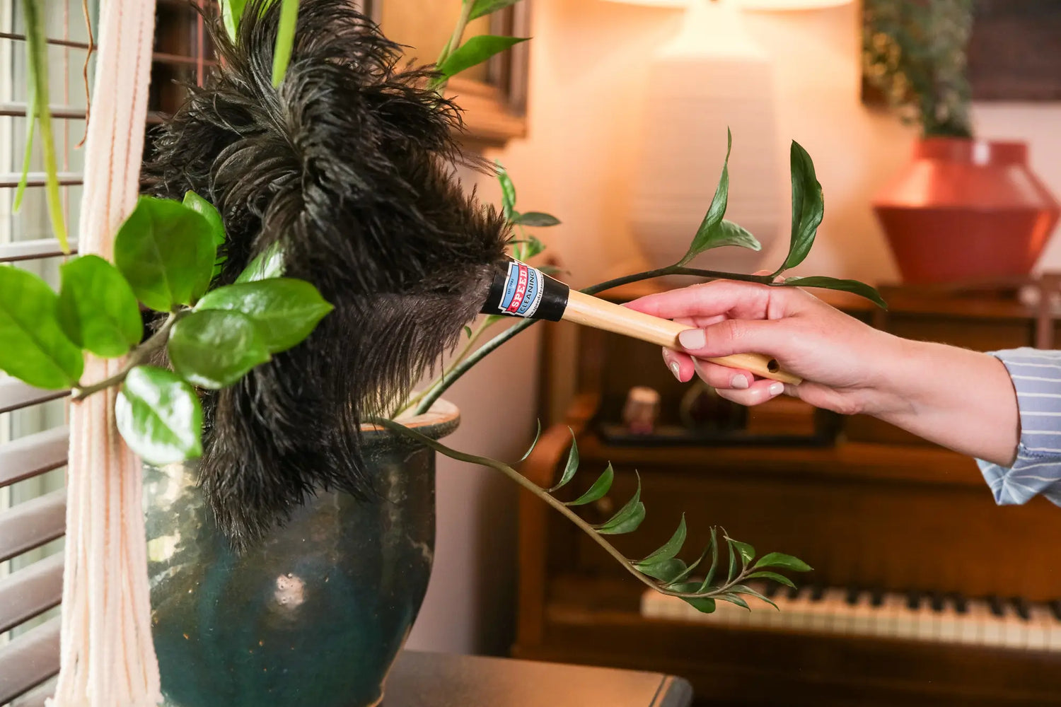 house plant duster Black Ostrich Feather Duster That Actually Removes Dust (Pro Tool) – Speed Cleaning
