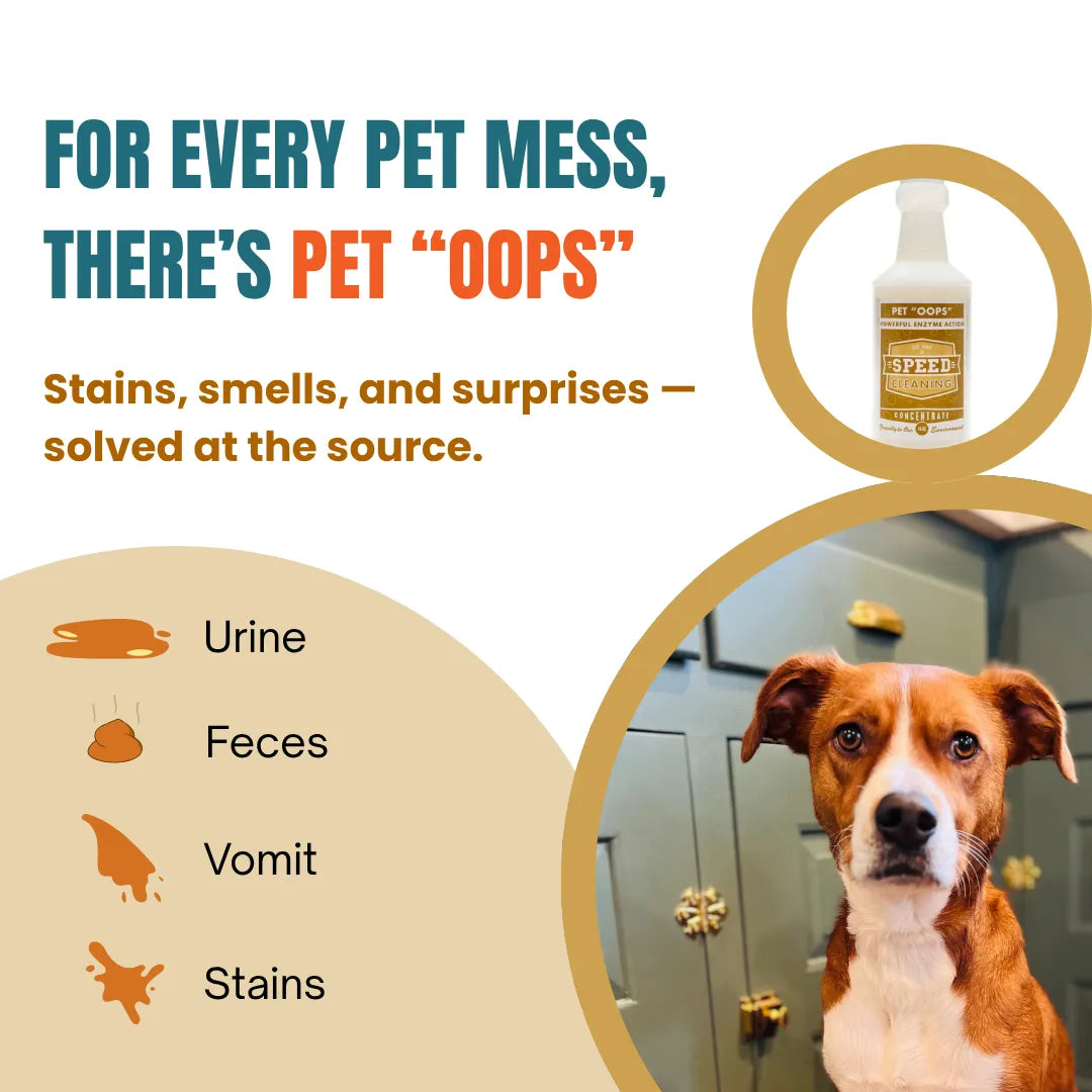 Pet 'Oops' Concentrate | Enzyme Cleaner